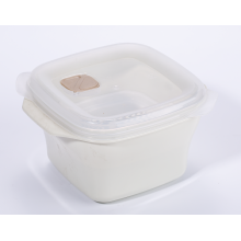 Plastikmahlzeit-Container-Lunchbox mit Deckel